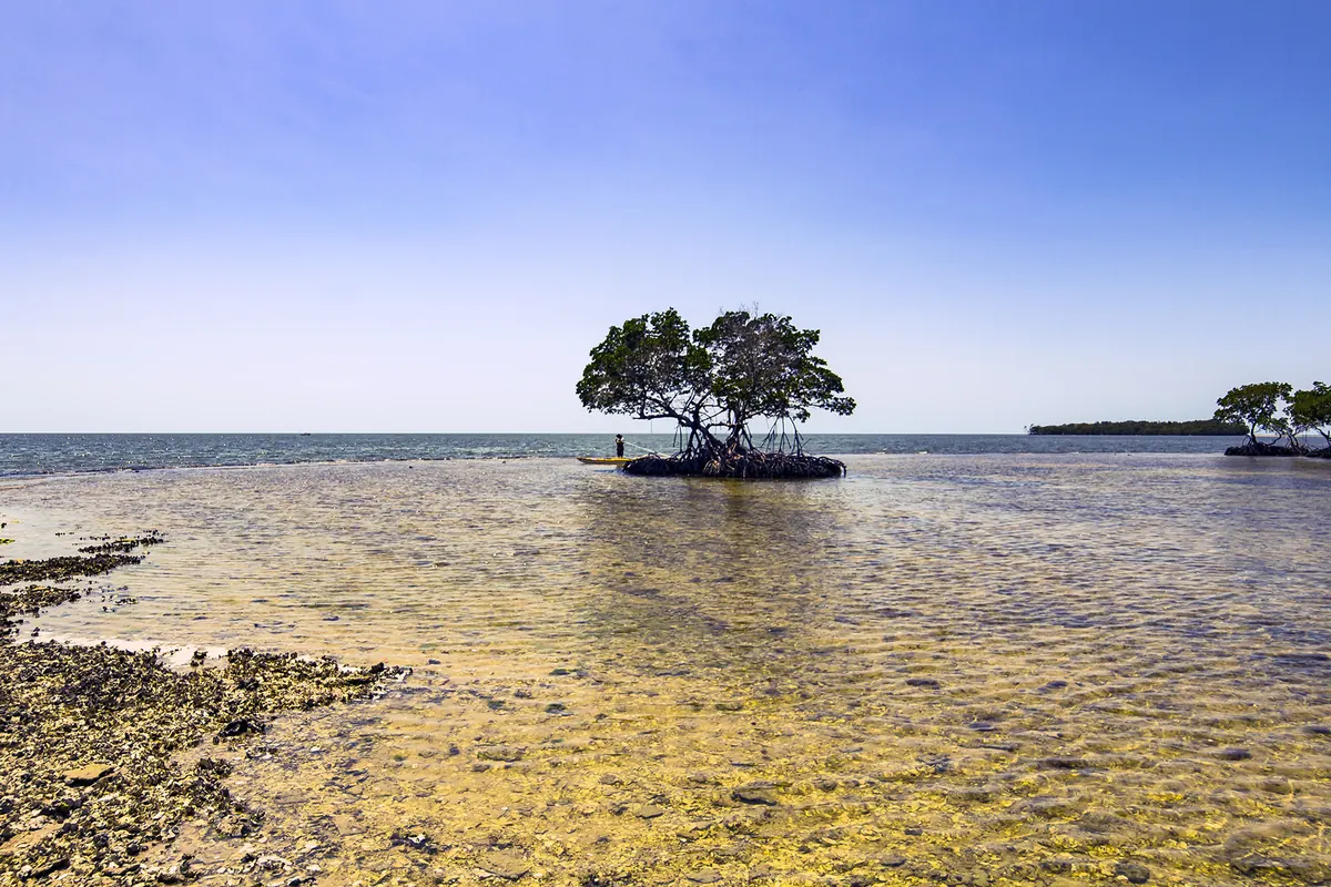 Indian Key Pass in the Ten Thousand Islands